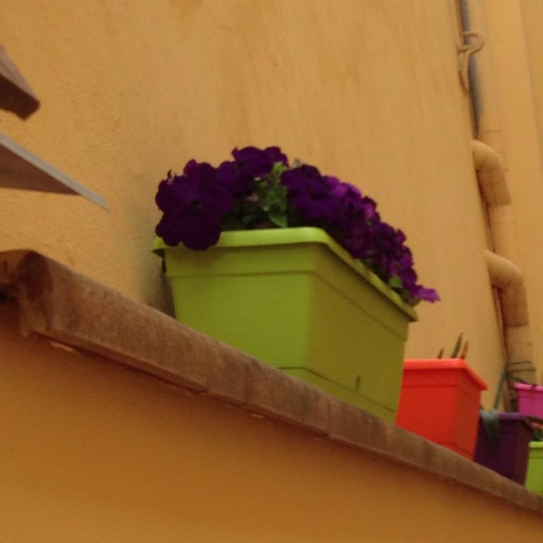 Bed and Breakfast Cosy House Florencia Exterior foto